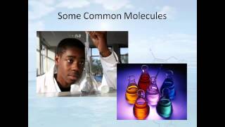 Organic Chemistry: Overview of Functional Groups