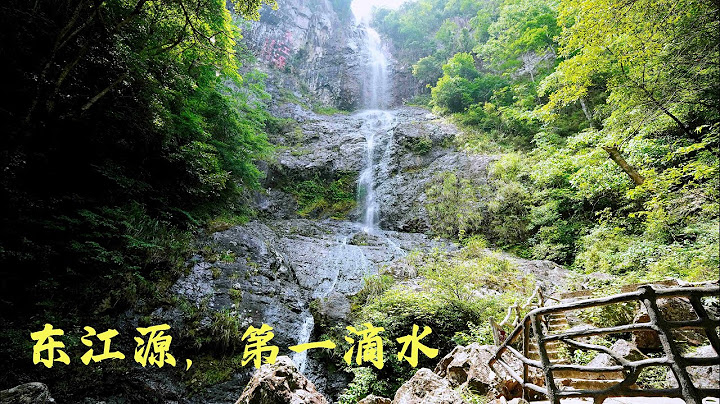 供应香港的用水第一滴就源自这里，东江源头赣州安远三百山，风景如画的原始森林覆蓋下的源头水清冽甘甜 - 天天要闻