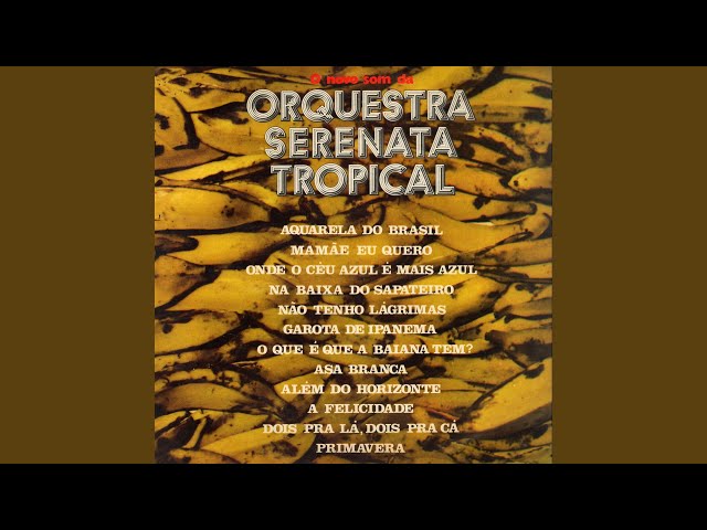 Orquestra Serenata Tropical - Na Baixa Do Sapateiro