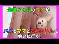 【母犬と子犬】離れていても覚えてる？〜親子の再会〜