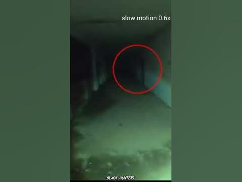 Grey wolf vasu anna saw his lovable ghost || #ghost #vasu #horror #