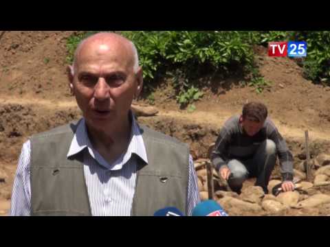 არქეოლოგიური გათხრები სოფელ მახვილაურში