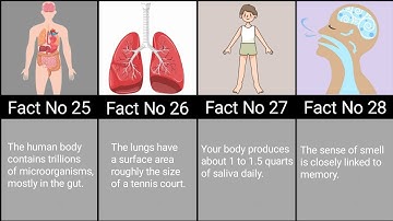 "40 Amazing Facts About the Human Body | One Point Each!"🫀🧠🫁🩸