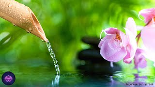 Shishi Odoshi in Japanese Zen Garden | Relaxing Music, Meditation Music, Sleep Music, Yoga, Zen