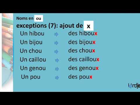 Apprenons le français  G7 U3 L1   Le pluriel des noms communs