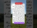 دعاء ليلة القدر دعاء ليلة القدر