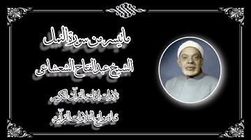 سورة النمل (1-31) - الشيخ عبدالفتاح الشعشاعى