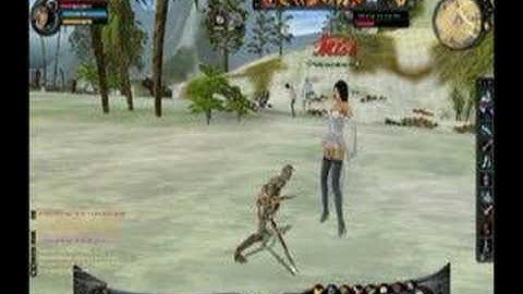 game play Shaiya weapon changing