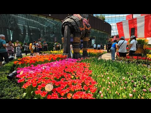 Tulip Season @ Gardens By The Bay Flower Dome