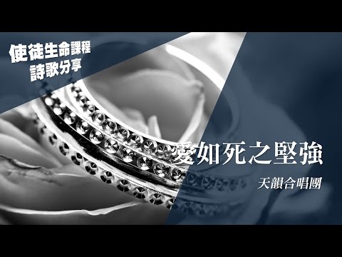 使徒生命課程詩歌分享│愛如死之堅強