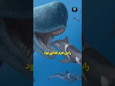 اگه میخوای هر روز دانا تر بشی پیچمو فالو کن