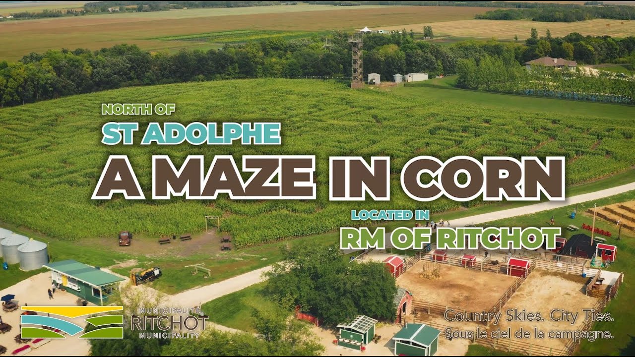 A Maze In Corn, St Adolphe, MB, A Film by Wornstar Media, 4K!