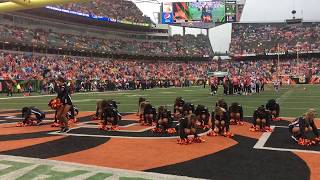 10/8/17 Bengals vs Bills - Ben-Gal Cheerleader Of The Week Routine “Goosebumps”