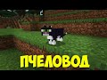 ПЧЕЛОВОД (RASA) ПОЁТ КОШКА | MINECRAFT МУЗЫКА