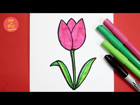 رسم زهرة التوليب بالرصاص والخطوات | رسم سهل | تعلم رسم وردة | Drawing a Tulip 🌷