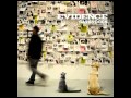 Evidence - Cats & Dogs (2011) [59:04] 192kb/s