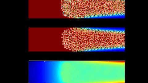 Thermal reaction diffusion showing temperature regulation