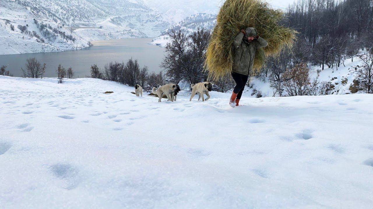 Zorlu Kış Şartlarında Dağ Köyünde Gerçek Huzuru Bulmak❄️❄️True Love and Peace in the Heart of Winter