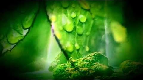 ACIM Lesson 259. Let me remember that there is no sin.