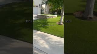 How This Simi Valley Homeowner Ditched Lawn Maintenance |Turf Exchange