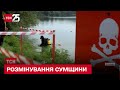 💥 На Сумщині виявили та знешкодили понад 6 тисяч боєприпасів