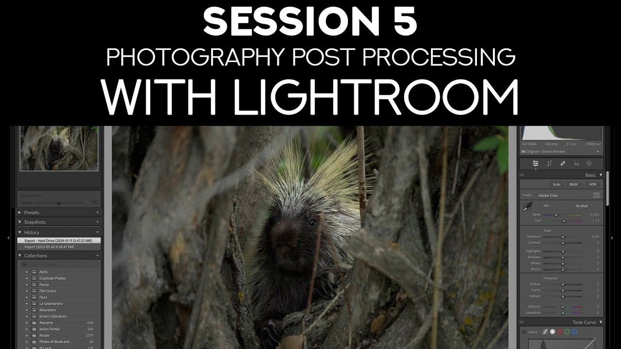 Photography Post Processing with Lightroom - Session 5 - YouTube