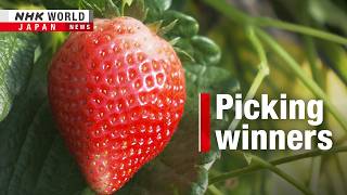 Japanese strawberries find sweet spot overseasーNHK WORLD-JAPAN NEWS