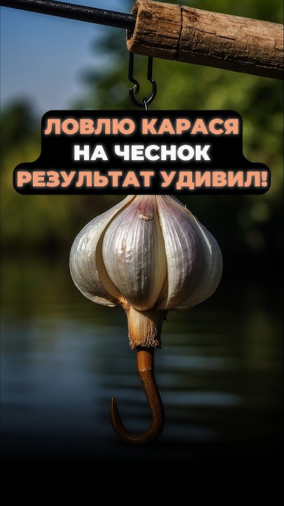 КАРАСЬ НА ЧЕСНОК, результат УДИВИЛ! #рыбалка #рыба #насадкадлярыбалки # ...