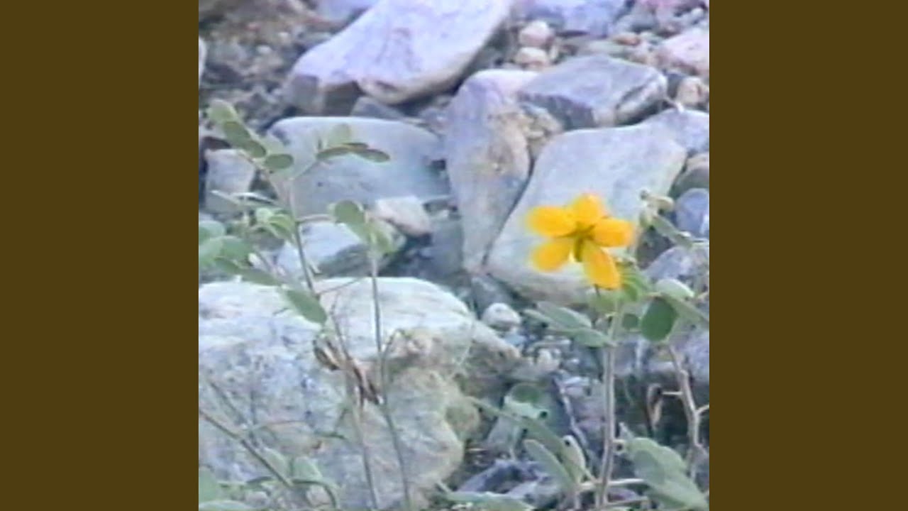 Watch Again the Mountain on YouTube Watch Again the Mountain on YouTube