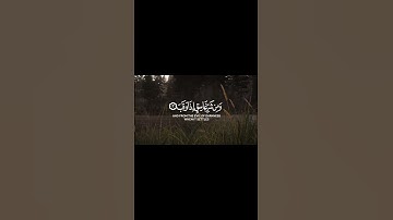 #الفلق #سورة_الفلق #سورة #قرءان #قران #قرآن #قرءان_كريم #قران_كريم #قرآن_كريم #قراءة #تلاوة #تلاوات