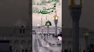 Eid miladun Nabi WhatsApp status ️aaqa ka Milad Aaya new 2021 Tik tok video