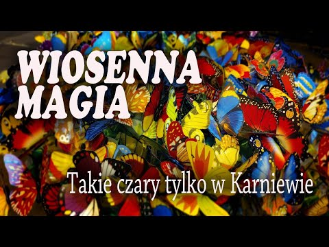 Wieczornica poetycka - WIOSENNA MAGIA | Poetyckie Karniewo po raz 21. #szkoła #wiersze #muzyka