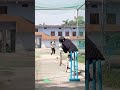 #legspin #cricket #spin #cricketlover #viralshort #cricketnews #legbreakbowling