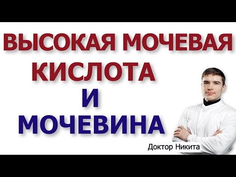 Высокая мочевая кислота, высокая мочевина - что это значит? Кетогенная диета и избыток белка.