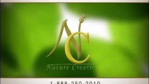 Nature Creation Introduction.flv