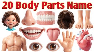 20 Body Parts Name English and Hindi | शरीर के अंग | Learn Body Parts for Kids | Body Parts Pictures