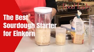 Best Sourdough Starter for Einkorn Wheat- Pasta Madre-Fullproof