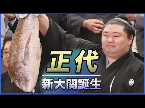 大相撲　正代関　くまモン　反物　一反 相撲大好き on X: 
