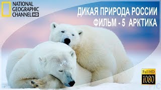 Дикая природа России (2009) 5. Arctic / Арктика.1080р