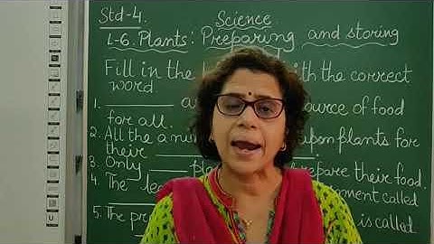 IV Science Chapter 6 Plants   Preparing & Storing Food Part 16