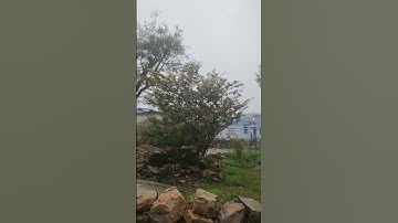 A1 A2 A3 A4 A5 A6 A7 A8 A9 processor and