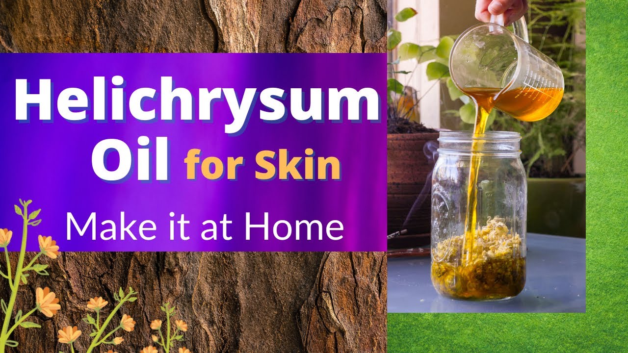 Helichrysum Oil for skin - How to make it at Home