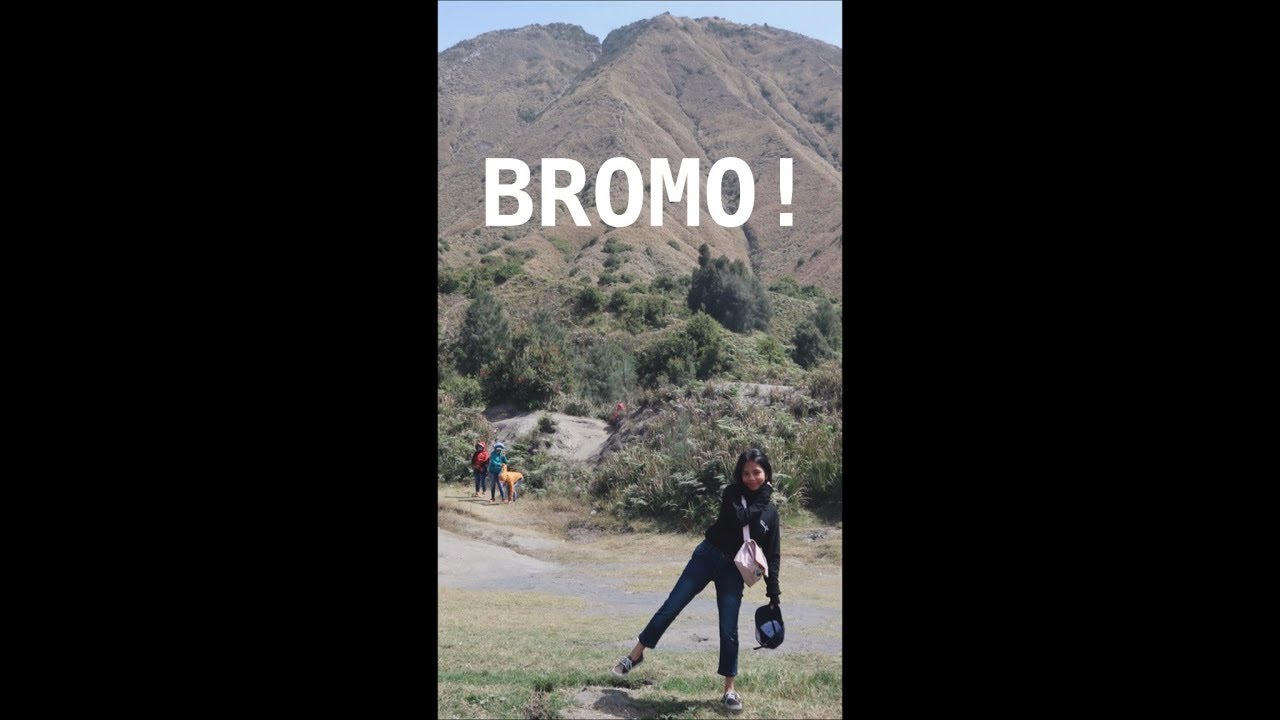 BROMO! (Vertical Video)