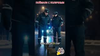 Полиция Остановила Кота С Пельменями