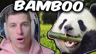 Family Time | Panda Simulator 3D!! screenshot 4