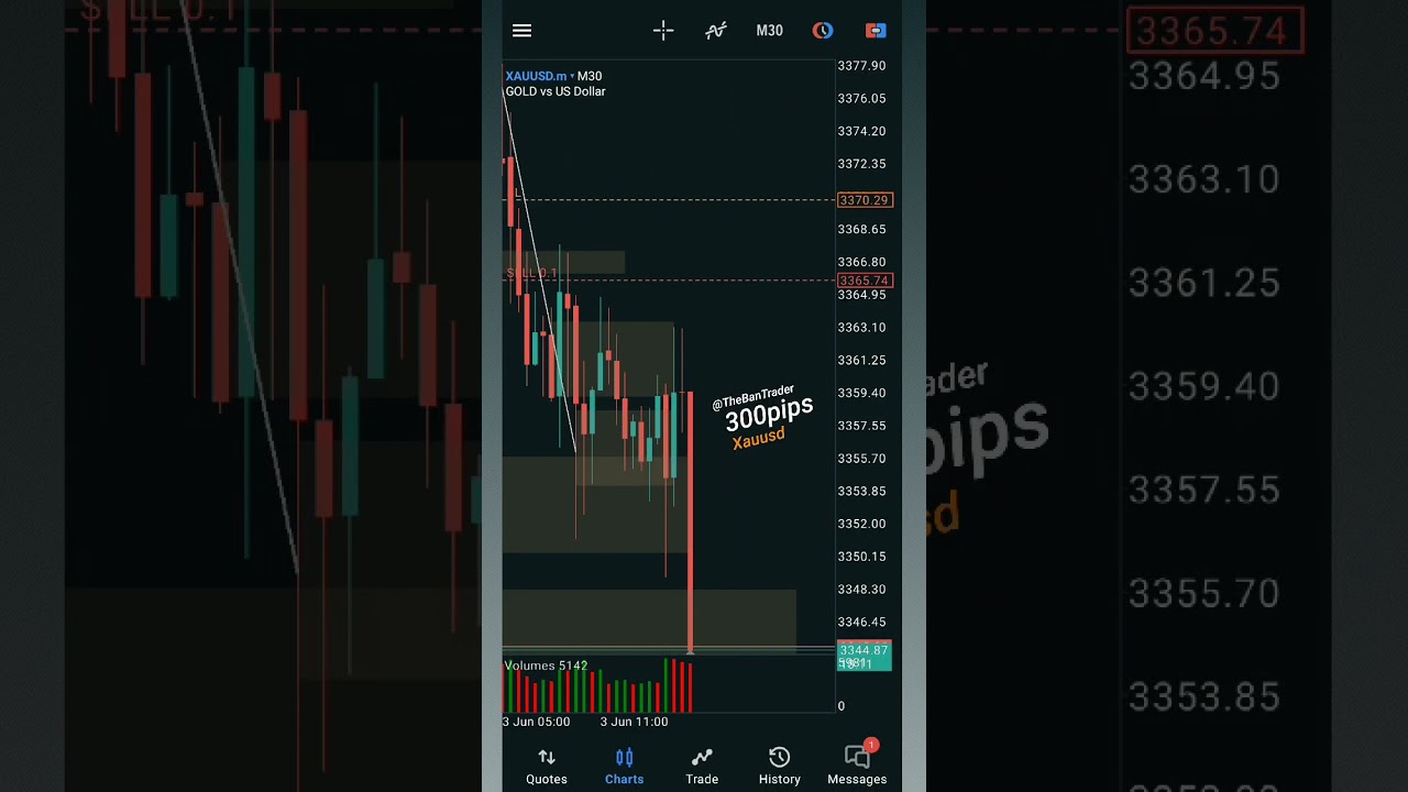 Xauusd Performance ✨❤️... 300 pops gain , 