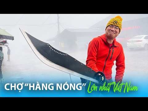 Chợ Dao Mèo Thác Bạc Sapa siêu to lớn nhất Việt Nam | TUNG TĂNG TV