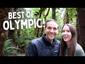 48 Hours In Olympic National Park! Hoh Rainforest, Ruby Beach & More!