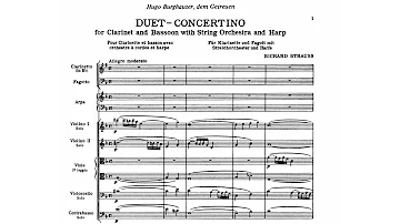 Richard Strauss: Duett-Concertino, TrV 293 (1947)