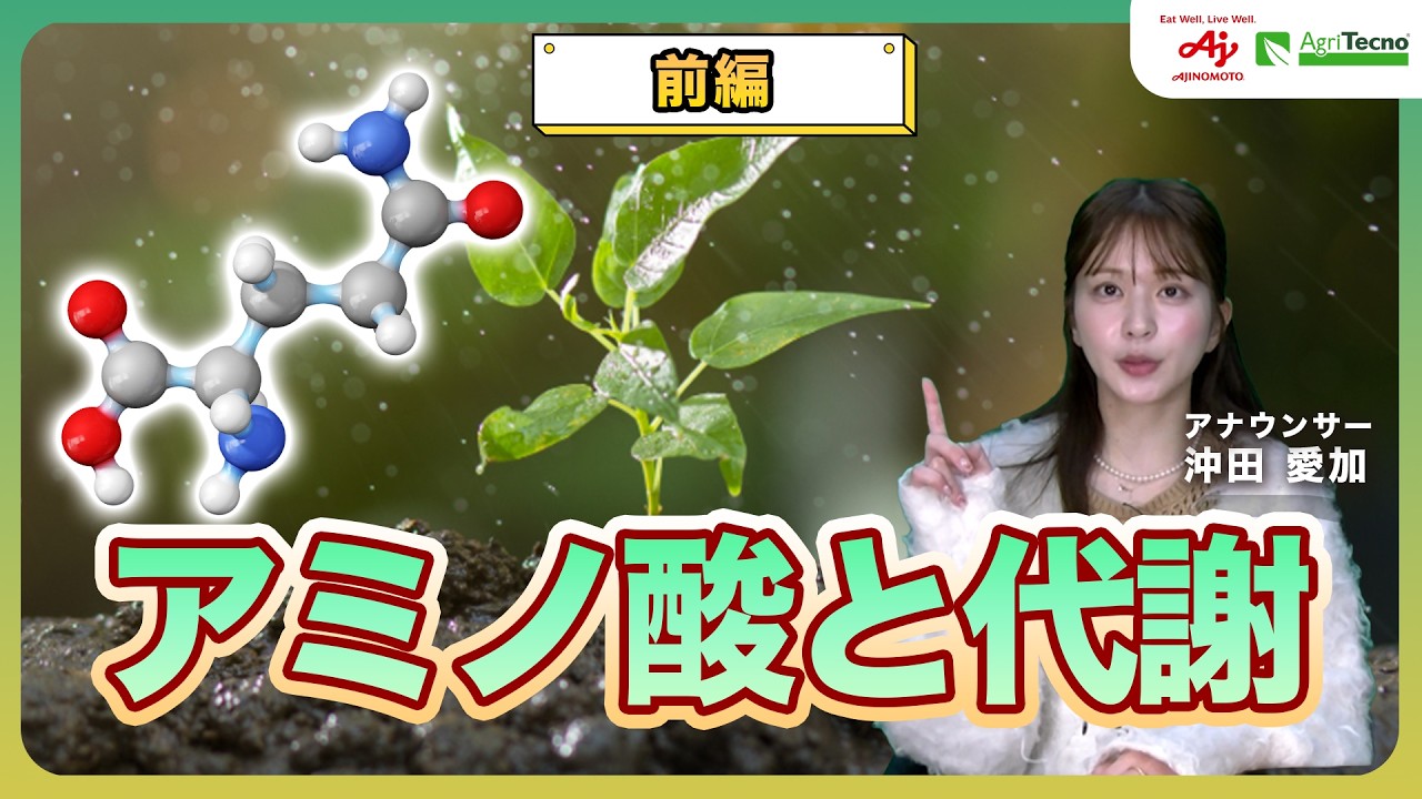 【代謝とアミノ酸:前編】代謝って何?アミノ酸から見る「植物のエンジン」
